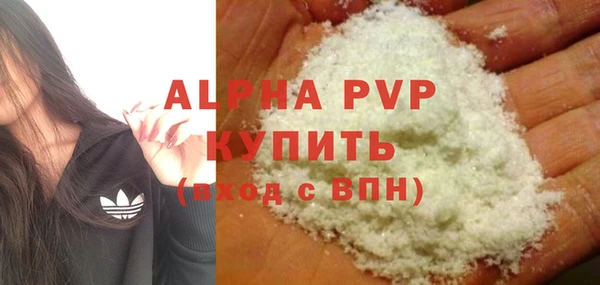 индика Абаза