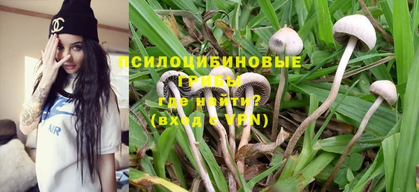 индика Абаза