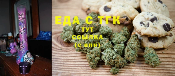 индика Абаза