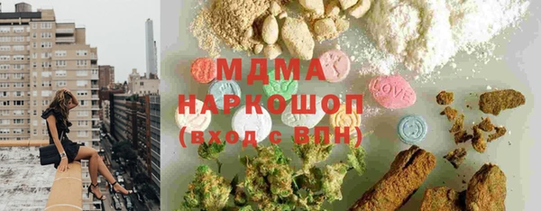 индика Абаза