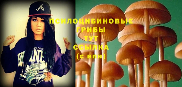 индика Абаза