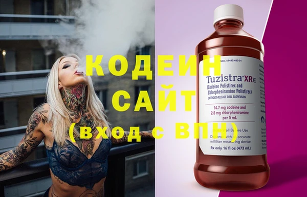 индика Абаза
