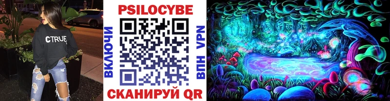 площадка состав  Костомукша  Псилоцибиновые грибы Cubensis 